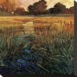 Golden Creek Stretched Canvas Print by Philip Craig