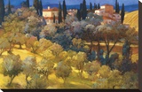 Florentine Landscape Stretched Canvas Print by Philip Craig