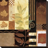 Nature's Elements I Reproduction transférée sur toile par Keith Mallett