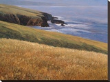 Patrick Head I Stretched Canvas Print by Kent Lovelace