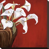 Callas on Red Stretched Canvas Print by Ann Parr