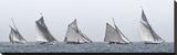 First Five Stretched Canvas Print by Jorge Llovet