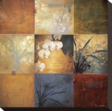 Orchid Nine Patch Stretched Canvas Print by Don Li-Leger