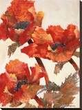 Poppies II Stretched Canvas Print by Joyce Kamikura