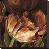 Color Harmony II Reproduction transférée sur toile par Linda Thompson
