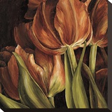 Color Harmony I Stretched Canvas Print by Linda Thompson