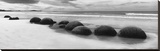 Moeraki Boulders Panorama Stretched Canvas Print by Monte Nagler