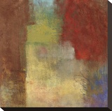 Inner Glow II Stretched Canvas Print by Jason Cardenas