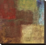 Inner Glow I Stretched Canvas Print by Jason Cardenas
