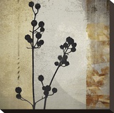 Sombras de Oro II Stretched Canvas Print by Noah Li-Leger