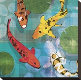 Lucky Koi I Reproduction transférée sur toile par Tandi Venter