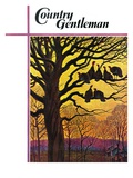 "Wild Turkeys Roosting," Country Gentleman Cover, November 1, 1938 Giclee Print by Paul Bransom
