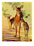 "Doe and Fawns,"April 29, 1933 Giclee Print by Jack Murray