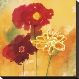 Sunflowers II Stretched Canvas Print by Aunaray Carol Clusiau
