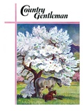 "Horses and Tree Blossoms," Country Gentleman Cover, May 1, 1940 Giclee Print by Paul Bransom