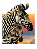 "Zebras,"June 25, 1932 Giclee Print by Jack Murray