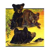 "Bear and Cubs in River,"August 25, 1934 Giclee Print by Jack Murray