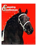 "Prize Draft Horse," Country Gentleman Cover, September 1, 1944 Giclee Print by Salvadore Pinto