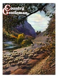 "Herding Sheep," Country Gentleman Cover, September 1, 1943 Giclee Print by Mike Roberts