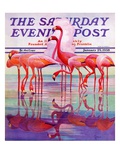 "Pink Flamingos," Saturday Evening Post Cover, January 29, 1938 Giclee Print by Francis Lee Jaques