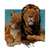 "Lion Couple,"March 19, 1932 Giclee Print by Lynn Bogue Hunt