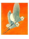 "Flying Storks,"June 19, 1937 Giclee Print by Francis Lee Jaques