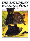 "Bear and Cubs in River," Saturday Evening Post Cover, August 25, 1934 Giclee Print by Jack Murray