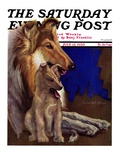 "Mother Collie and Pup," Saturday Evening Post Cover, July 15, 1933 Giclee Print by Howard Van Dyck