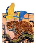 "Leopard and Parrots in Jungle,"September 2, 1933 Giclee Print by Paul Bransom