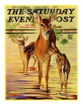 "Doe and Fawns," Saturday Evening Post Cover, April 29, 1933 Giclee Print by Jack Murray