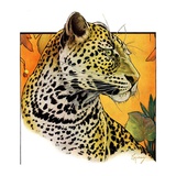 "Leopard,"August 29, 1931 Giclee Print by Jack Murray