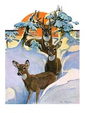 "Deer in Snow,"February 7, 1931 Giclee Print by Paul Bransom