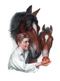 "Boy Feedy Apple to Horses,"July 14, 1923 Giclee Print by Leslie Thrasher
