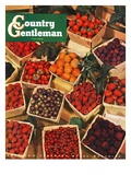 "Pints of Fruit and Berries," Country Gentleman Cover, July 1, 1949 Giclee Print by J.c. Allen