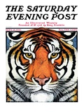 "Tiger Head," Saturday Evening Post Cover, September 18, 1926 Giclee Print by Paul Bransom
