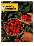 "Strawberries," Country Gentleman Cover, June 1, 1948 Giclee Print by J.c. Allen