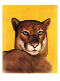 "Mountain Lions,"September 25, 1937 Giclee Print by August Schombrug