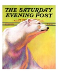 "Polar Bear," Saturday Evening Post Cover, February 1, 1936 Giclee Print by Jack Murray