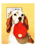 "Hunting Dog and Cap,"October 29, 1938 Giclee Print by Jack Murray