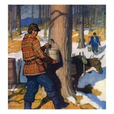"Gathering Maple Syrup,"March 1, 1927 Giclee Print by N.C. Wyeth