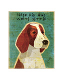 Irish Setter (Red & White) Giclee Print by John W. Golden