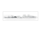 Dakota Frost Giclee Print by Stephen Gassman