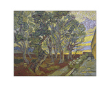 The Garden of Saint Paul’s Hospital, 1889 Giclee Print by Vincent van Gogh