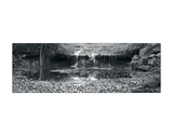 Falls Panorama Giclee Print by Stephen Gassman