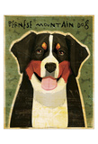 Bernese Mountain Dog Giclee Print by John W. Golden