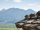 Shingle Roof of a Hut in Upper Bavaria Photographic Print by Hans Eder