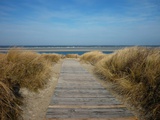 Way to the North Sea on the Island Langeog Photographic Print by Karin Schwan