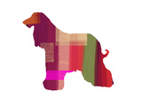 Afghan Hound 2 Print by  NaxArt