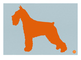 Standard Schnauzer Orange Posters by  NaxArt