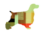 Springer Spaniel Prints by  NaxArt